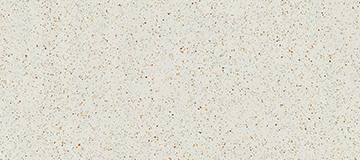 JS 3512 Seeing Flowers Through the Mist